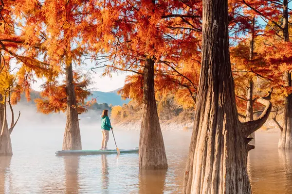 妇女站在湖面的木板上 晨雾弥漫 秋天的紫杉树丛生 — 图库照片