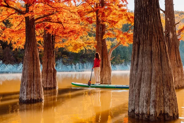 站在船桨板和妇女之间的河流之间的紫杉树 苏打水在平静的湖面上 — 图库照片