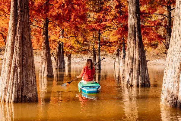 Aventura Stand Paddle Board Com Mulher Rio Entre Árvores Taxodium — Fotografia de Stock