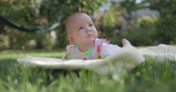 정원에서 잔디에 귀여운 — 비디오