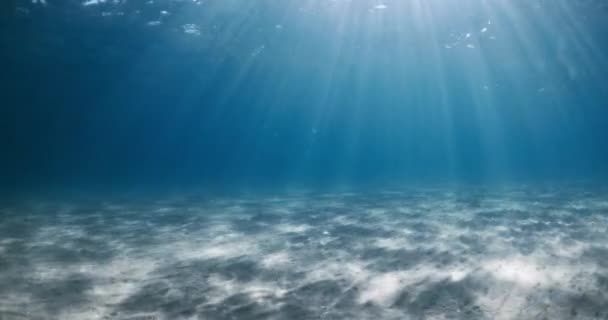 Синій Прозорий Океан Сонячними Променями Дно Піщаного Моря Хвилі Під — стокове відео