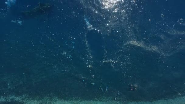 Contaminación Plástica Barco Hundido Liberty Cerca Tulamben Bali Turismo Problemas — Vídeo de stock