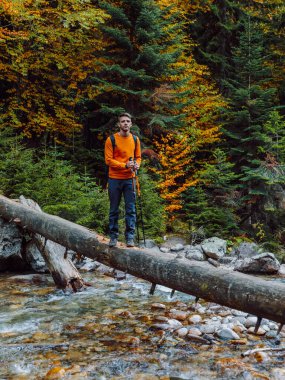 Sonbahar ormanlarında dağ nehrinin üzerinde bir kütükte gezen adam..
