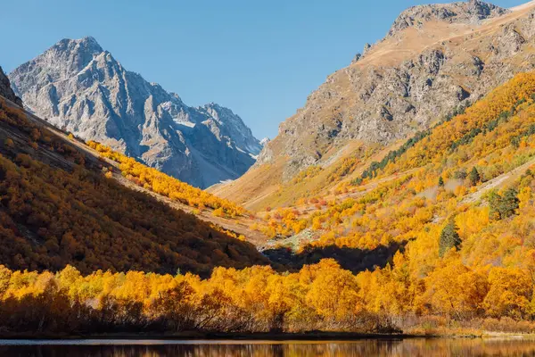 山谷中的山湖和五彩缤纷的秋天的落树 — 图库照片