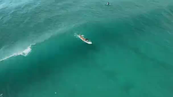 サーフィン中に海にいる女性の空中視界 サーフィンボードと海の波のサーファー — ストック動画
