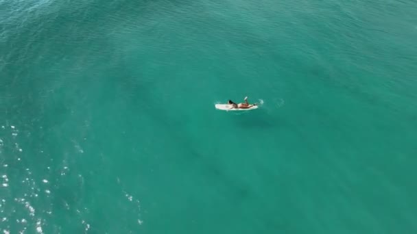サーフボードでサーフガールが漕ぐ空中視界 サーフィン中に海にいる女性 船上および海の波のサーファー — ストック動画