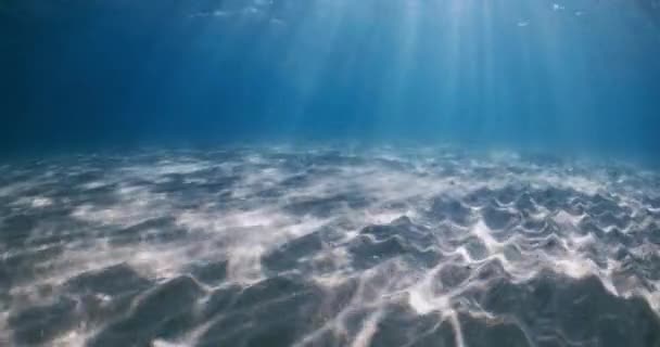 Şeffaf Mavi Okyanus Kumlu Deniz Tabanı Altında Güneş Işınları Arkaplanı — Stok video