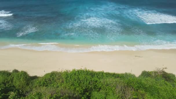 トロピカルアイランドの青い海の波と砂浜 エアリアルビュー — ストック動画