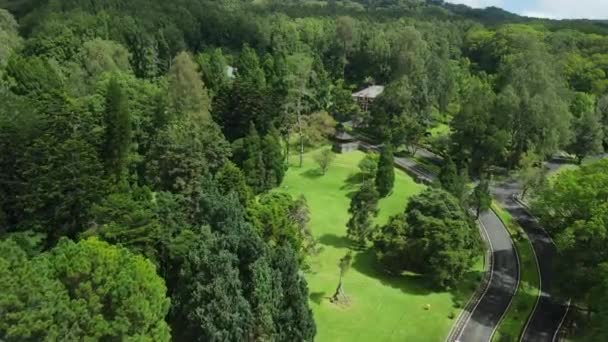Pemandangan Udara Kebun Botani Dengan Pohon Pohon Raksasa Kebun Raya — Stok Video