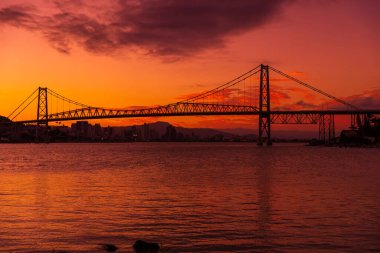 Hercilio luz kablosu Florianopolis 'te güneşli bir havada köprü ve sıcak gün batımı olarak kaldı.