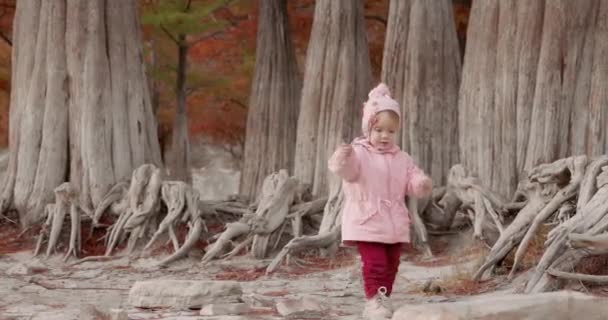 Дитяча Дівчинка Тлі Taxodium Disychum Маленька Дівчинка Парку Рідкісними Деревами — стокове відео