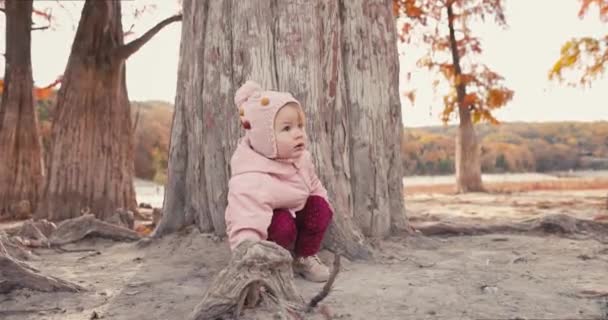 Ein Kleines Mädchen Spielt Inmitten Herbstlicher Bäume Kleines Mädchen Einem — Stockvideo