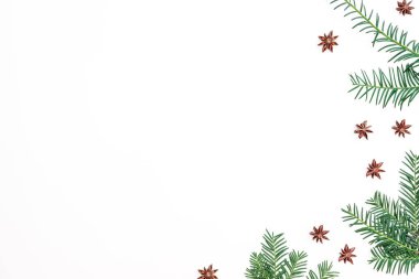 Beyaz arka planda anason olan Noel dalları konsepti. Düz yatış, üst görünüm