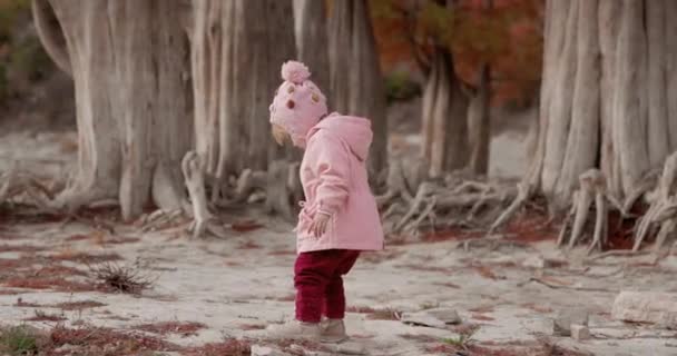 Menina Bonito Brincando Andando Parque Outonal Com Árvores Raras — Vídeo de Stock