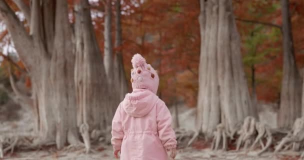 Дитяча Дівчина Грає Гуляє Автономному Парку Рідкісними Деревами — стокове відео