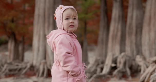 Ute Kind Meisje Spelen Wandelen Een Herfstpark Met Zeldzame Bomen — Stockvideo