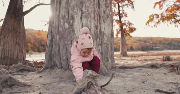 Ein Kleines Mädchen Spielt Inmitten Herbstlicher Bäume Kleines Kind Herbstlichen — Stockvideo