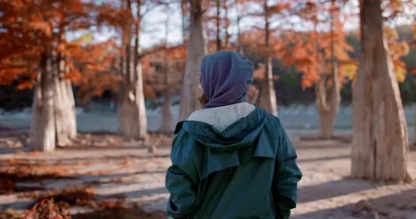 Wanita Bahagia Yang Menarik Berjalan Menyusuri Taman Musim Gugur Dan — Stok Video