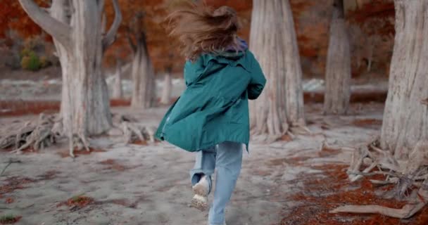 Una Mujer Atractiva Corriendo Por Parque Fantasía Gente Parque Otoño — Vídeo de stock