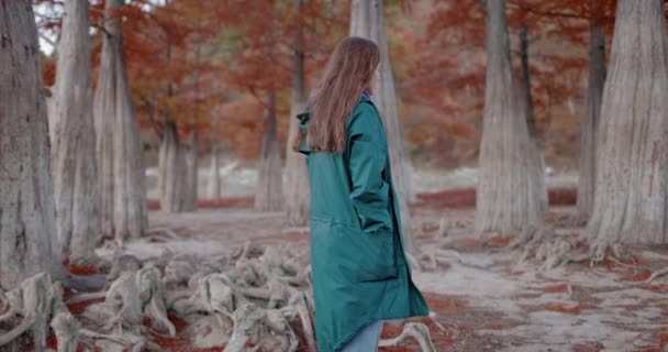 Привлекательная Женщина Гуляющая Парку Фантазия Людей Парке Осенью Активный Образ — стоковое видео
