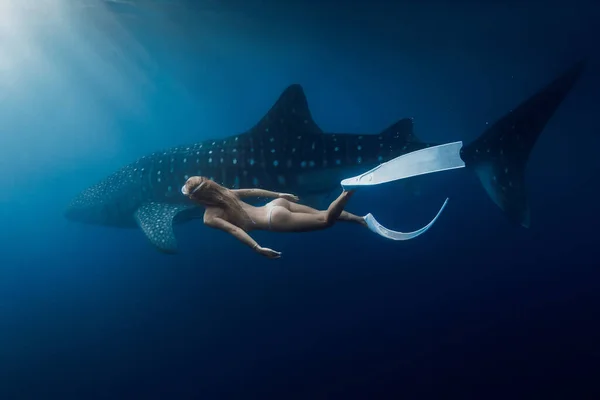Underwater view of female free diver swimming with giant whale shark