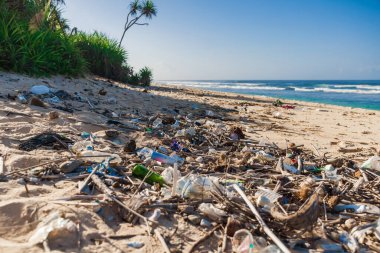 Bali adasındaki tropik plaj ve plastik çöpler. Okyanus kıyısındaki plastik çöplerle kirlilik