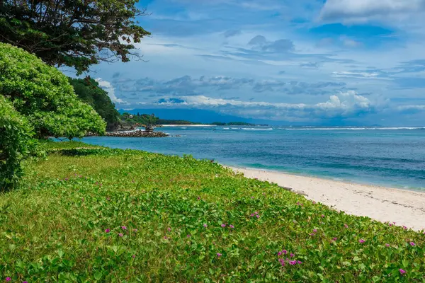 Tropikalna Luksusowa Plaża Trawnikiem Błękitnym Oceanem Bali — Zdjęcie stockowe