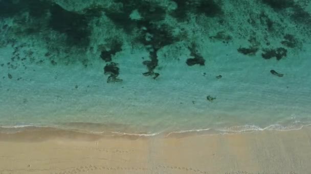 Piaszczysta Plaża Przezroczystym Spokojnym Oceanem Widok Lotu Ptaka Widok Góry — Wideo stockowe