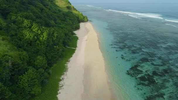 Letecký Pohled Malebnou Pláž Průhledný Oceán Ostrově Bali — Stock video