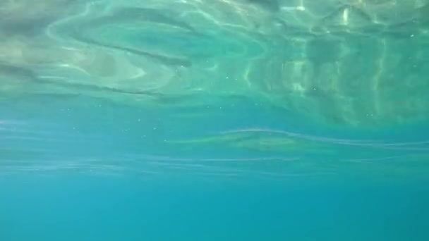 Fondo Agua Oceánica Transparente Bajo Agua Superficie Del Mar — Vídeos de Stock