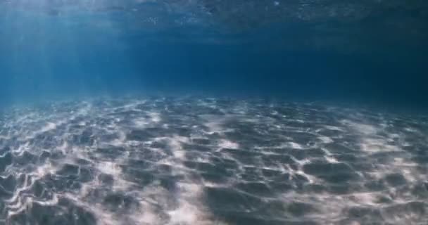 Océan Transparent Avec Rayons Soleil Fond Sablonneux Vagues Sous Marines — Video