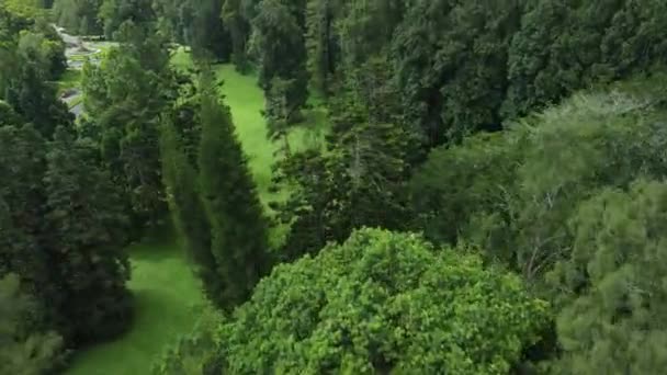 Vista Aérea Jardim Botânico Com Árvores Gigantes Bali Indonésia — Vídeo de Stock
