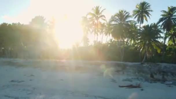 Тропический Пляж Кокосовыми Пальмами Тонами Восхода Солнца Вид Воздуха Побережье — стоковое видео