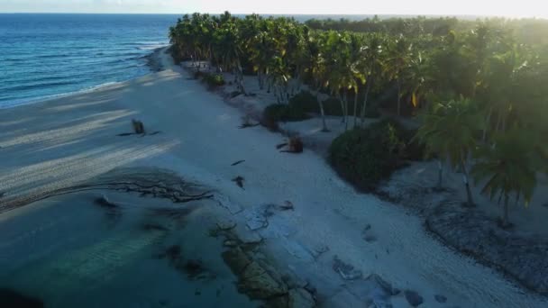 Praia Das Maldivas Com Coqueiros Tons Nascer Sol Vista Aérea — Vídeo de Stock