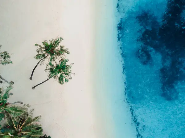 Top down aerial drone image of shoreline in Maldives. Bright Blue Crystal Clear Water and White Sandy beach on beautiful paradise tropical island. Summer and travel vacation