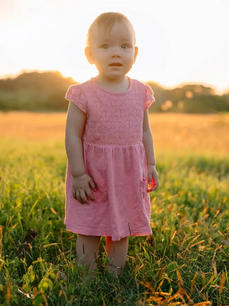 Niña Permaneciendo Hierba Con Tonos Atardecer Lindo Bebé Vestido Rosa —  Fotos de Stock