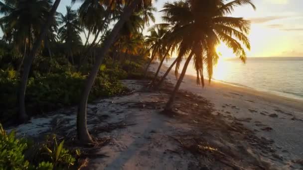 Вид Воздуха Рай Мальдивские Тропические Пляжи Острове Закатом Солнца Летние — стоковое видео