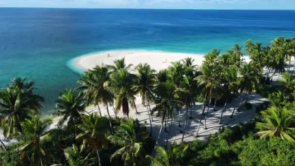 马尔代夫群岛海洋热带海滩 有棕榈 假期录像 空中无人驾驶飞机视图 — 图库视频影像