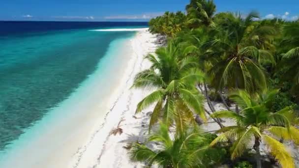 Isole Maldive Oceano Spiaggia Tropicale Con Palme Veduta Aerea Del — Video Stock