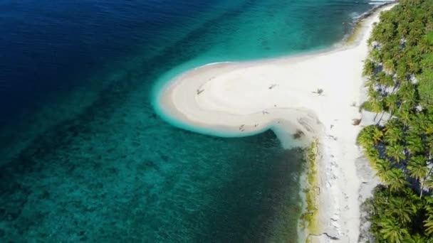 Ilhas Maldivas Oceano Praia Tropical Com Palmas Vista Aérea Drones — Vídeo de Stock