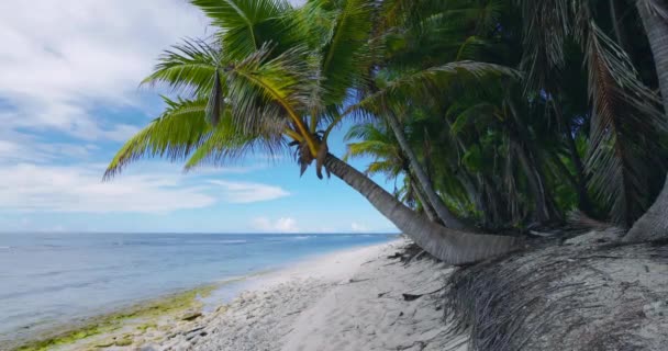 Praia Tropical Das Maldivas Ilha Conceito Férias Verão Tropical Imagens — Vídeo de Stock