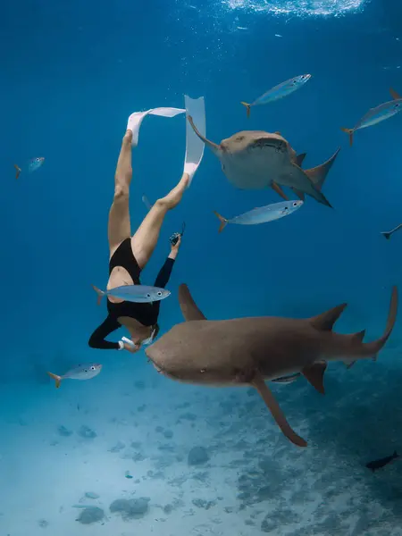 Femme Plonge Nage Avec Les Requins Dans Une Mer Tropicale — Photo
