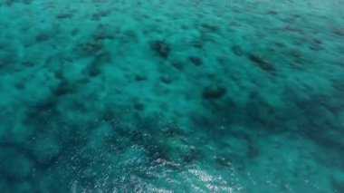 Maldivler adaları palmiyeli tropikal plajlar. Hava aracı görüntüsü. Yüksek kalite 4k görüntü