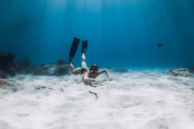 Özgür kadın ve zehirli deniz yılanı tropikal mavi okyanusta