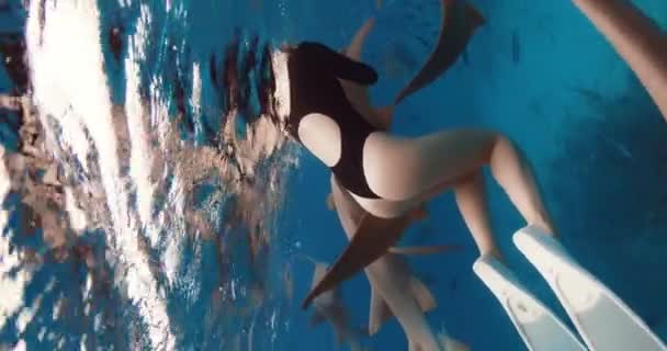 Ženské Plavání Čisté Tropické Vodě Žraloky Maledivách — Stock video