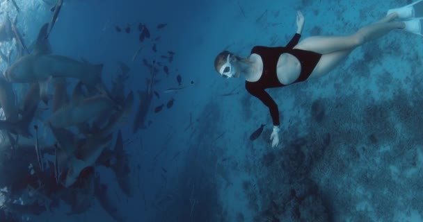 Mulher Livre Águas Tropicais Límpidas Com Tubarões Enfermeiros Nas Maldivas — Vídeo de Stock