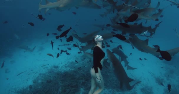 马尔代夫一名妇女在清澈的热带水域中与哺乳鲨鱼共渡自由 — 图库视频影像
