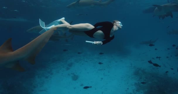 Slanke Vrouwelijke Freediver Een Helder Tropisch Water Met Verpleegsterhaaien Malediven — Stockvideo