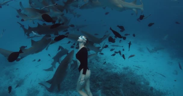 Mujer Delgada Liberadora Agua Tropical Clara Con Tiburones Nodriza Maldivas — Vídeos de Stock