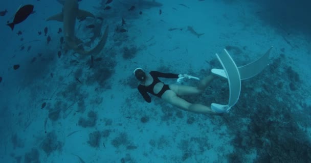 Femme Mince Plongeuse Libre Dans Une Eau Tropicale Claire Avec — Video